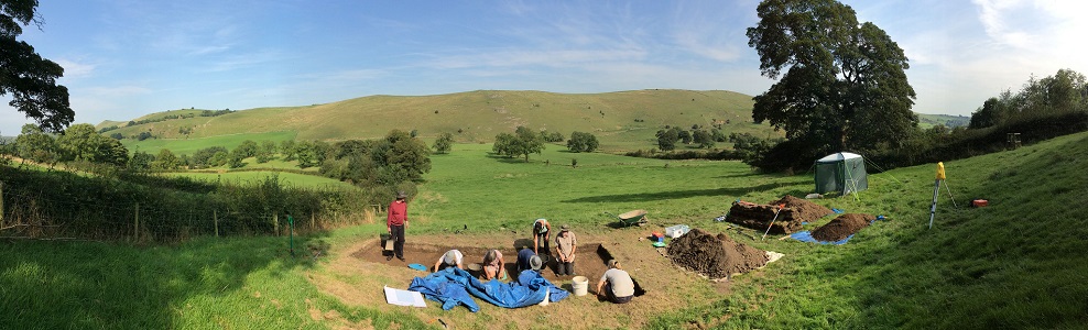 field dig